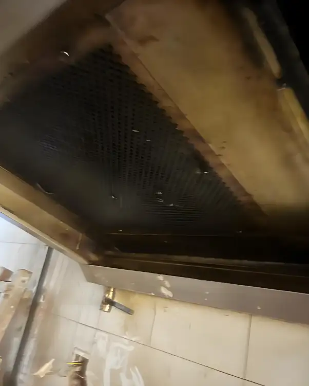 油烟处理设备生产厂家哪家好？专业选购指南来了