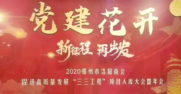 加强党建引领企业发展,朴华科技2019年党建工作获表彰